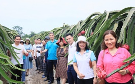 HỘI NÔNG DÂN THÀNH PHỐ HÀ NỘI TỔ CHỨC THĂM QUAN, HỌC TẬP MÔ HÌNH KINH TẾ TIÊU BIỂU TẠI XÃ THƯ LÂM