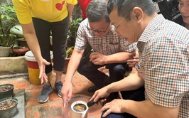 Tình hình dịch bệnh trên địa bàn thành phố Hà Nội từ ngày 29/5 đến ngày 5/6