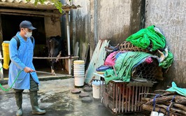 Bát Tràng tăng cường vệ sinh môi trường chăn nuôi sau tiêm phòng đợt 1 năm 2026