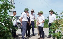 Lãnh đạo xã Đại Xuyên kiểm tra thực địa, đôn đốc triển khai Khu liên hợp giết mổ tập trung Quang Lãng