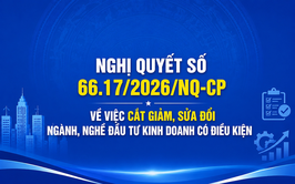 Nghị quyết về cắt giảm, sửa đổi ngành, nghề đầu tư kinh doanh có điều kiện