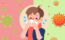Chủ động phòng chống bệnh cúm