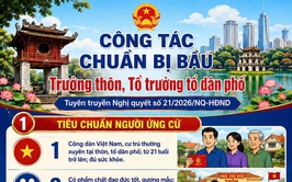 Những nội dung cần biết về bầu Trưởng thôn, Tổ trưởng tổ dân phố tại Hà Nội