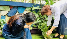 PHƯỜNG PHƯƠNG LiỆT TỔ CHỨC HỘI NGHỊ TRIỂN KHAI - PHÁT ĐỘNG CHIẾN DỊCH VỆ SINH MÔI TRƯỜNG - DIỆT BỌ GẬY PHÒNG CHỐNG SỐT XUẤT HUYẾT