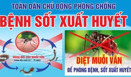 PHÒNG, CHỐNG SỐT XUẤT HUYẾT