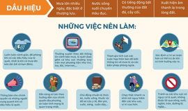 Kỹ năng phòng chống, ứng phó trước, trong và sau bão