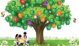 NGHĨA TÌNH TRONG GIÔNG BÃO: CÂU CHUYỆN CỦA CÔ GIÁO CHÂU MẪN VÀ TẤM LÒNG CỘNG ĐỒNG XANH TUỆ ĐỨC