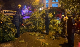 Phường Kiến Hưng kịp thời khắc phục hậu quả sau mưa  giông