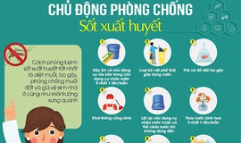Chủ động phòng, chống dịch bệnh sốt xuất huyết trên địa bàn xã Hưng Đạo – đảm bảo sức khỏe nhân dân, phát huy trách nhiệm chính quyền địa phương