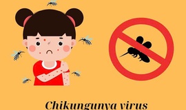 Xã Hưng Đạo đoàn kết, chung tay ngăn chặn bệnh Chikungunya