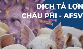 HƯỚNG DẪN THỰC HIỆN CÔNG TÁC CHĂN NUÔI VÀ 
PHÒNG CHỐNG DỊCH BỆNH TRÊN ĐÀN LỢN