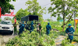UBND xã Hoài Đức chỉ đạo rà soát, tổ chức cắt tỉa cây xanh phòng chống thiên tai, mưa bão trên địa bàn xã năm 2025