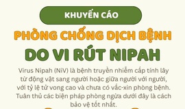 THÔNG BÁO CỦA TRẠM Y TẾ:
 PHÒNG, CHỐNG DỊCH BỆNH DO VI RÚT NIPAH