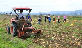 An toàn thực phẩm - một trong những nhiệm vụ trọng tâm năm 2026