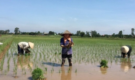 XÃ BÌNH MINH ĐẨY NHANH TIẾN ĐỘ SẢN XUẤT VỤ XUÂN 2026