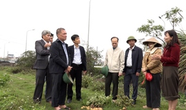 Chủ tịch UBND xã Mỹ Đức kiểm tra tình hình sản xuất nông nghiệp đầu xuân