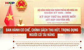 CỤ THỂ HÓA CƠ CHẾ, CHÍNH SÁCH THU HÚT VÀ TRỌNG DỤNG NHÂN TÀI
