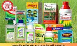 Tăng cường công tác quản lý kinh doanh, buôn bán và sử dụng thuốc bảo vệ thực vật trên địa bàn xã Bình Minh