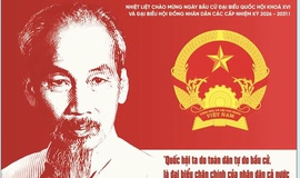 ỨNG DỤNG VNEID ĐỂ THEO DÕI TIẾN ĐỘ CỬ TRI THAM GIA BỎ PHIẾU