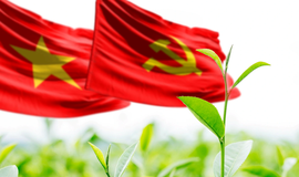 Quy định mới của Bộ Chính trị về chế độ đảng phí