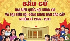 Chi tiết nội dung thể lệ bầu cử