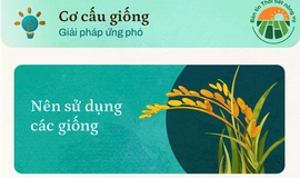 Thời tiết tháng 3 và những lưu ý trong sản xuất nông nghiệp
