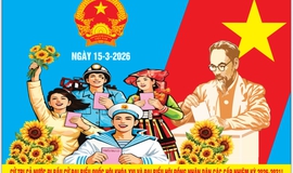 Ngày 15 -3, Cử tri Mỹ Đức tích cực đi bầu cử Đại biểu Quốc hội khoá XVI và đại biểu hội đồng nhân dân các cấp, nhiệm kỳ 2026 – 2031