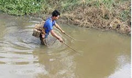 TĂNG CƯỜNG BẢO VỆ VÀ PHÁT TRIỂN NGUỒN LỢI THỦY SẢN TRÊN ĐỊA BÀN XÃ BÌNH BINH