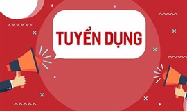Phường Việt Hưng thông báo tuyển hợp đồng theo Nghị định 173/2025/NĐ-CP tại các cơ quan Đảng thuộc Đảng ủy phường.