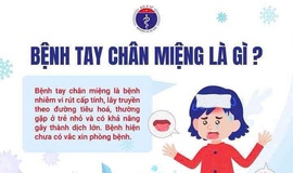 UBND PHƯỜNG VĂN MIẾU – QUỐC TỬ GIÁM TĂNG CƯỜNG TUYÊN TRUYỀN, CHỦ ĐỘNG PHÒNG, CHỐNG BỆNH TAY CHÂN MIỆNG TRÊN ĐỊA BÀN