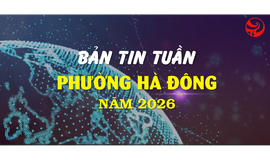 BẢN TIN SỐ TUẦN 4 THÁNG 4/2026