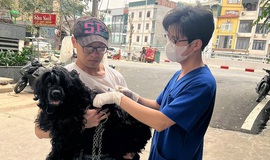 PHƯƠNG LIỆT: VƯỢT CHỈ TIÊU TIÊM PHÒNG VẮC XIN DẠI CHO ĐÀN CHÓ, MÈO TRONG 02 NGÀY CAO ĐIỂM