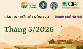 BẢN TIN THỜI TIẾT NÔNG VỤ THÁNG 5/2026