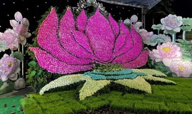Lễ hội Sen Hà Nội năm 2026 - Tôn vinh vẻ đẹp văn hóa Việt và lan tỏa giá trị du lịch Thủ đô