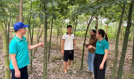 Hội Nông dân xã Gia Lâm tăng cường kiểm tra, giám sát các nguồn vốn vay hỗ trợ hội viên phát triển kinh tế