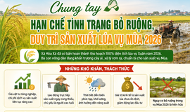 Chung tay hạn chế tình trạng bỏ ruộng, duy trì sản xuất lúa vụ mùa 2026