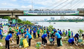 Chương Dương hưởng ứng Ngày Môi trường thế giới và Ngày Đại dương thế giới: Chung tay vì một tương lai xanh-phát triển