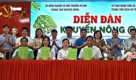 Liên kết sản xuất và tiêu thụ sản phẩm nông nghiệp – Đồng hành cùng nông dân phát triển bền vững