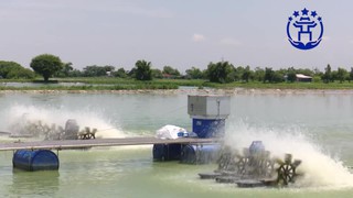 Hà Nội: Hỗ trợ 100% giá trị vật nuôi thủy sản không di chuyển được khi thu hồi đất