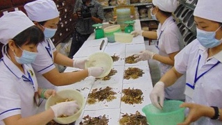 Hà Nội công bố danh mục thủ tục hành chính mới, sửa đổi và bãi bỏ trong lĩnh vực Y tế