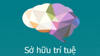 Hà Nội phê duyệt phương án tái cấu trúc thủ tục hành chính lĩnh vực sở hữu trí tuệ, tiết kiệm gần 70% chi phí tuân thủ