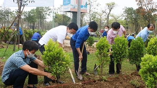 Kế hoạch 249/KH-UBND: Hà Nội hướng tới phát triển xanh và bền vững