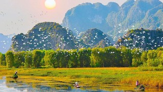 Hà Nội công bố Danh mục thủ tục hành chính lĩnh vực Bảo tồn thiên nhiên và đa dạng sinh học – Bước tiến mạnh mẽ trong cải cách hành chính