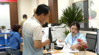 Hà Nội phê duyệt 06 quy trình nội bộ, quy trình điện tử trong lĩnh vực Quản lý doanh nghiệp, Nông nghiệp, Bảo hiểm nông nghiệp