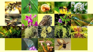 Hà Nội công bố thủ tục hành chính nội bộ lĩnh vực bảo tồn thiên nhiên và đa dạng sinh học