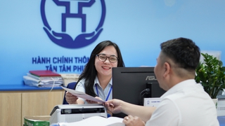 Hà Nội phê duyệt, bãi bỏ quy trình nội bộ, quy trình điện tử lĩnh vực trồng trọt và bảo vệ thực vật
