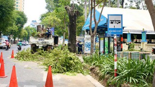 Công bố quy trình điện tử mới trong lĩnh vực hạ tầng kỹ thuật đô thị