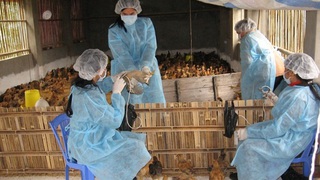 Hà Nội đẩy mạnh cải cách hành chính lĩnh vực nông nghiệp: công bố 58 quy trình mới theo quyết định 383/QĐ-TTPVHCC