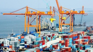 Hà Nội: Chuẩn hóa quy trình cấp C/O mẫu EUR.1 cho doanh nghiệp xuất khẩu theo Quyết định 780/QĐ-TTPVHCC