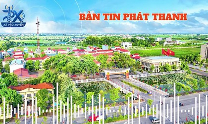 Chương trình ngày 29.5.2026